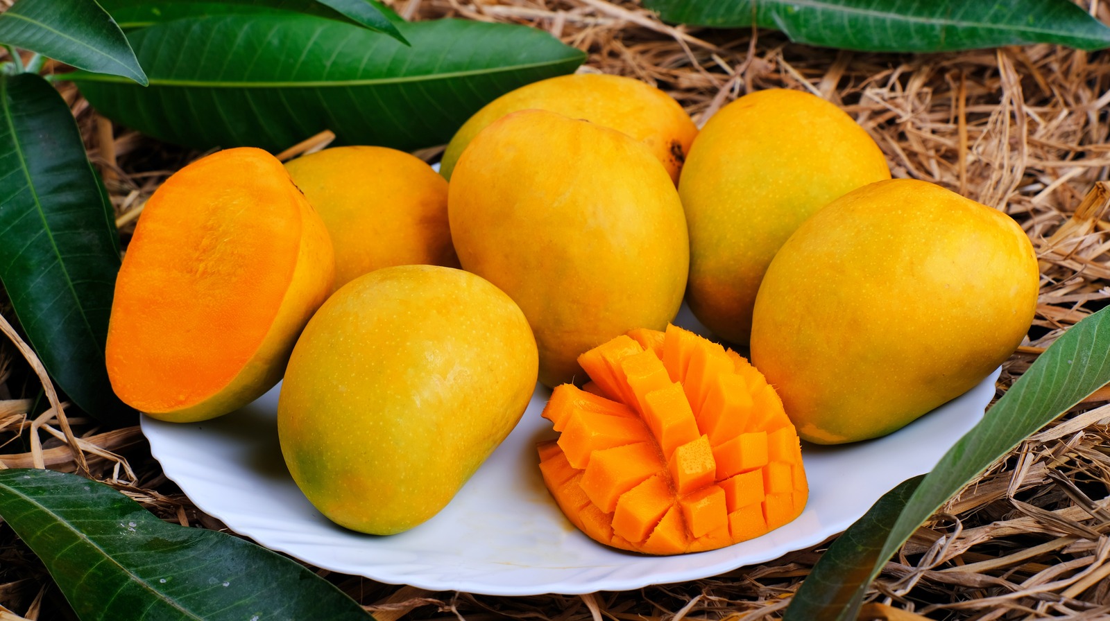 North Bengal Agro Farms Ltd: Pioneering Excellence in Organic Mango Supply