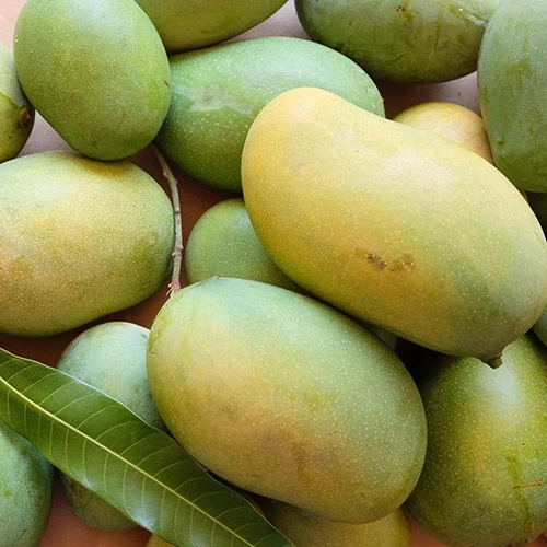 Amrupali Mangoes of North Bengal Agro Farms Ltd